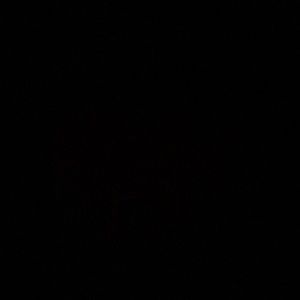 Meet your Posher, Ava